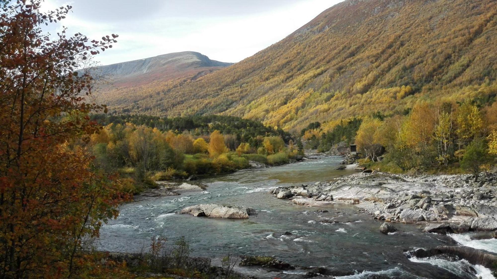Driva Hytter Oppdal Exteriér fotografie